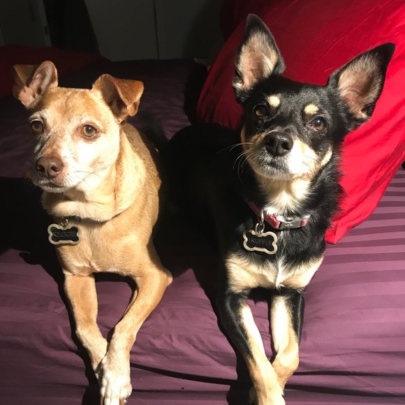 Meet your Posher, Susan - Picture 3 of 3